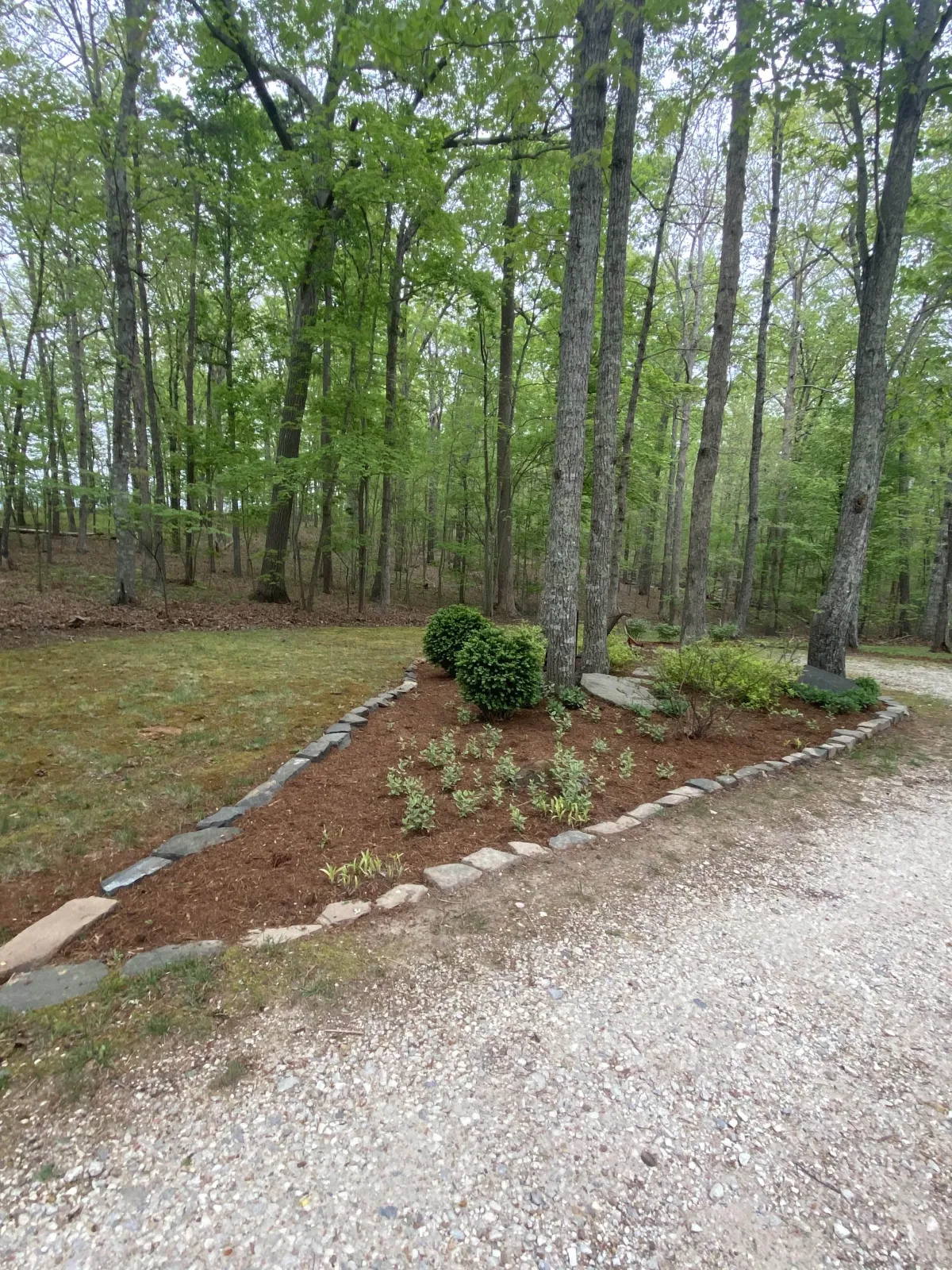 Lawn Fertilization and Weed Control in Lynchburg, Amherst <img src={service.image} alt={service.name} className="w-full h-64 object-cover" /> Forest, VA - Blades and Beyond