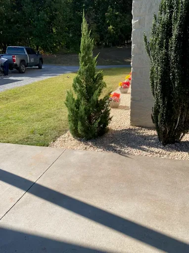 Evergreen shrub installation and landscape design